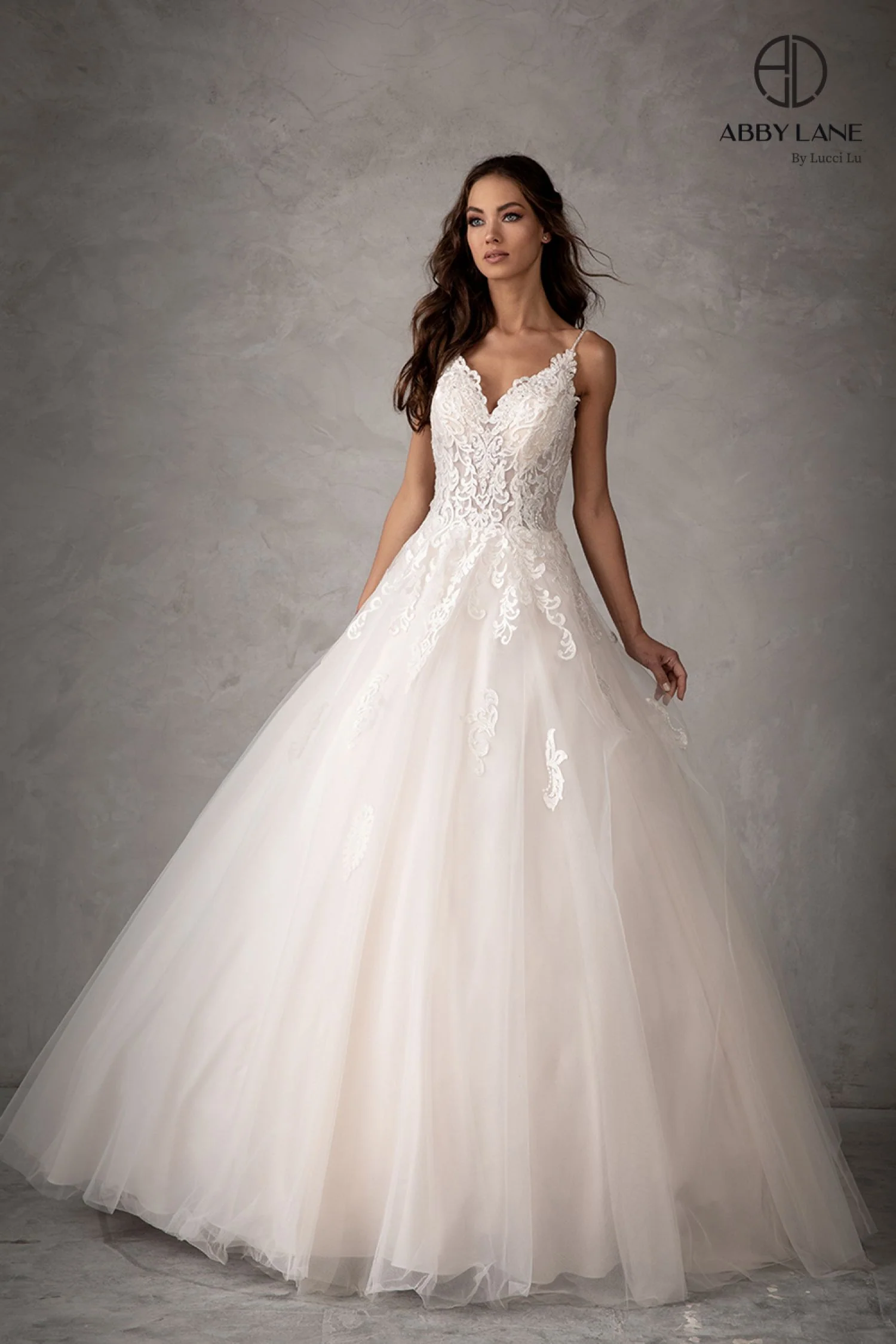 Abby Lane 97103 Size 6 Ivory Champagne Lace Ballgown wedding dress Tulle A Line Bridal Gown
