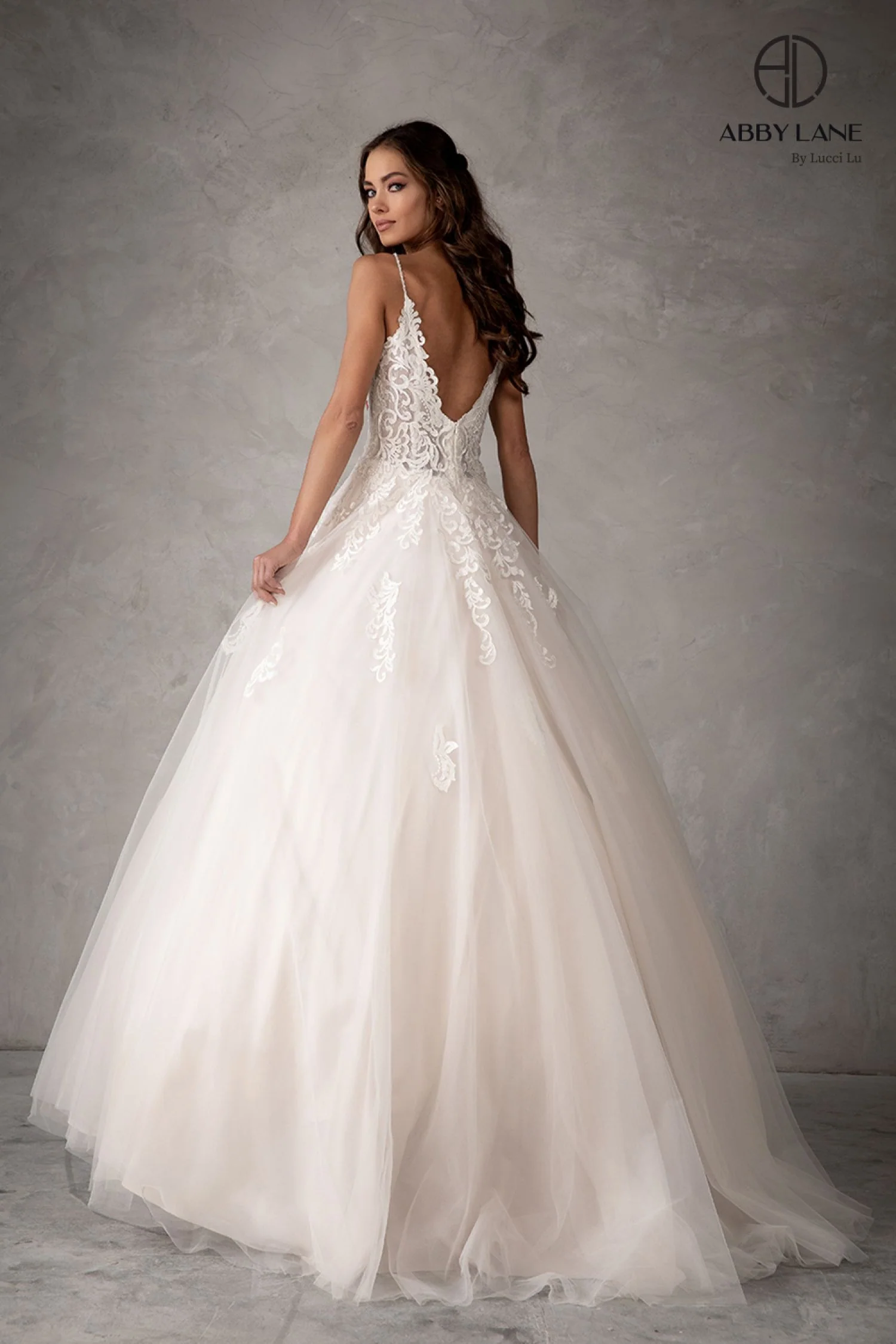 Abby Lane 97103 Size 6 Ivory Champagne Lace Ballgown wedding dress Tulle A Line Bridal Gown - Image 2