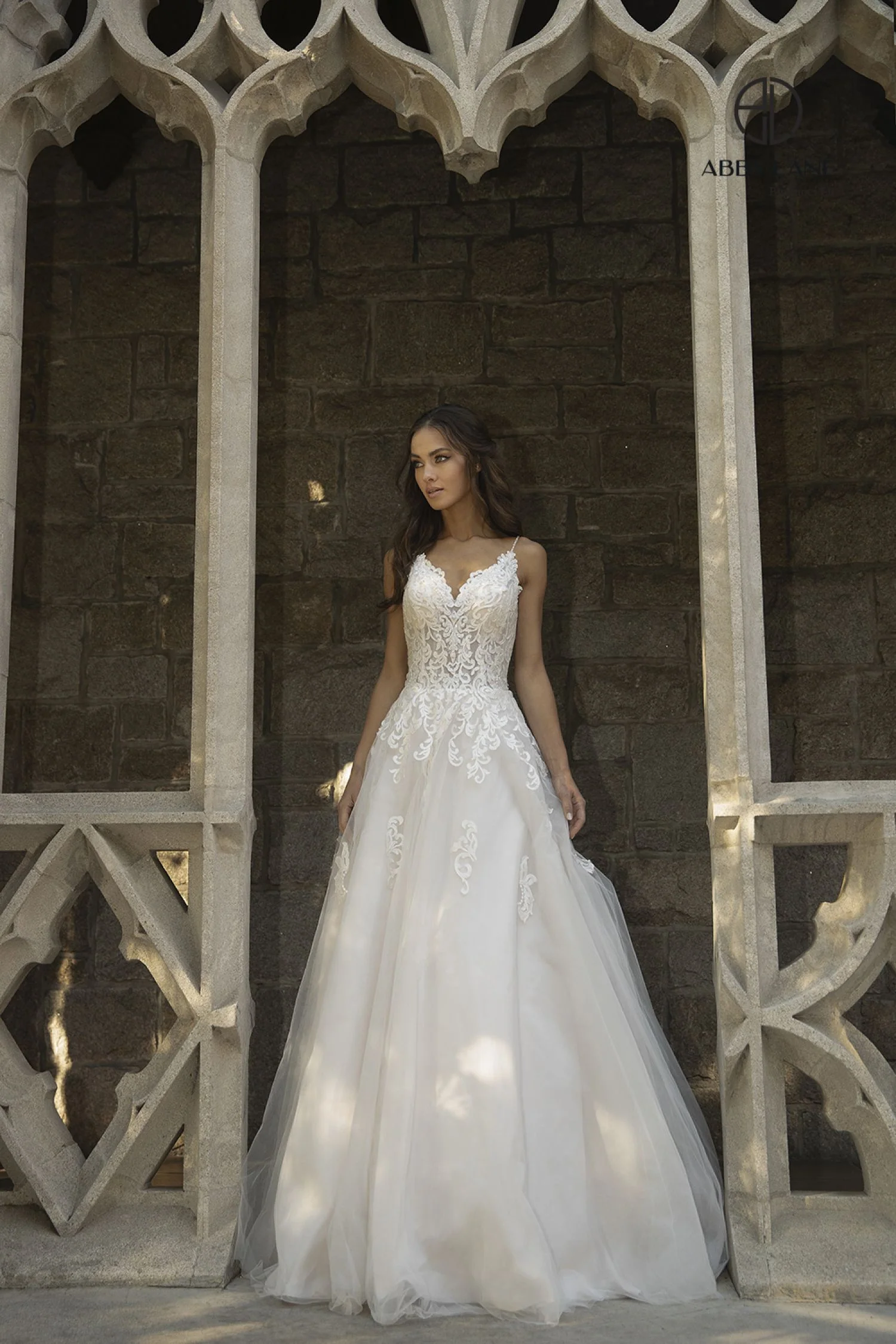 Abby Lane 97103 Size 6 Ivory Champagne Lace Ballgown wedding dress Tulle A Line Bridal Gown - Image 3
