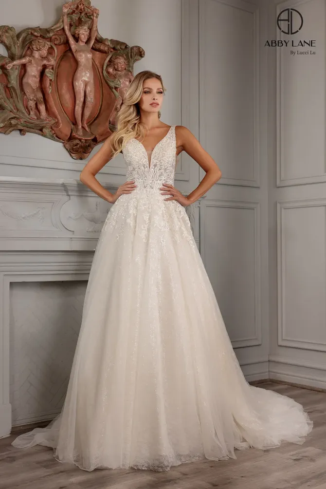 Abby Lane 97161 size 2 Ivory Wedding Dress embroidered lace applique long sleeveless tulle wedding dress with an A-line skirt