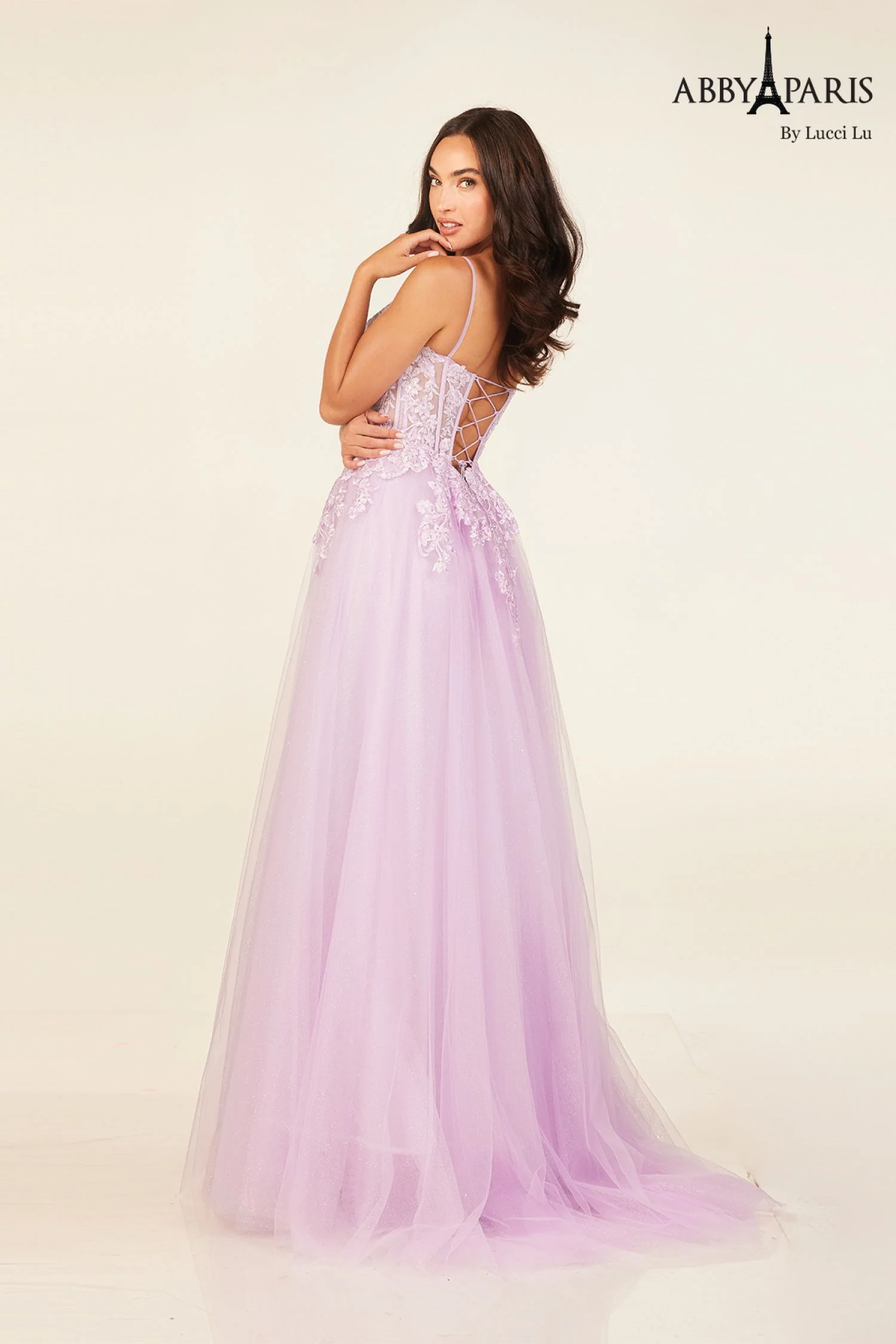 Abby Paris 90327 Sheer Lace Corset A Line Prom Dress Shimmer V Neck Formal Gown - Image 3