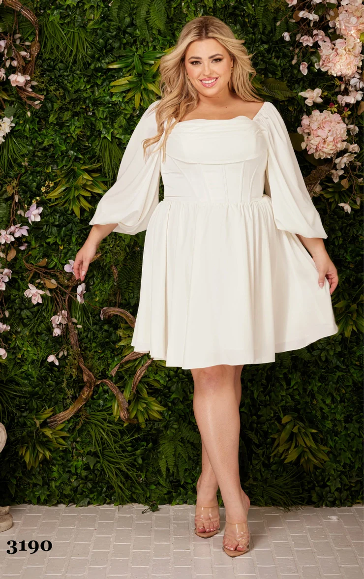 Abby Rose 3190 Size 22 Dolphin Blue Plus Size Cocktail Dress Corset Long Sleeve Homecoming Dress Formal Flared - Image 4