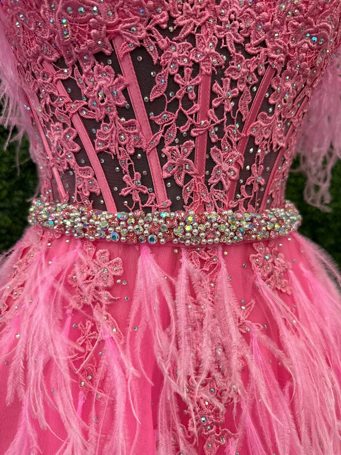 ASHLEYlauren 11447 Size 12 SKY Long Prom Off Shoulder Feather Ball Gown Prom Dress Lace Corset Formal - Image 16