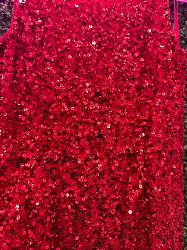 Ashley Lauren Kids 8025 Size 4 RED Pageant Jumpsuit Sequin - Image 3