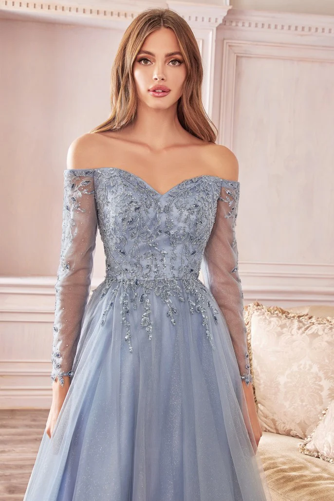 CD 0172 Size 12 Long Shimmer A Line Mother of Sheer Long Sleeve Dress Off the Shoulder - Image 2