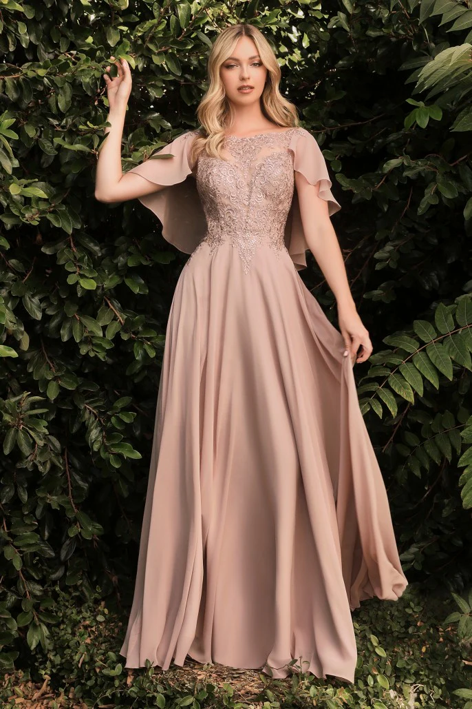 CD101 Size 22 Long A Line Draped Cape Mother Of Dress Formal evening Gown - Image 5