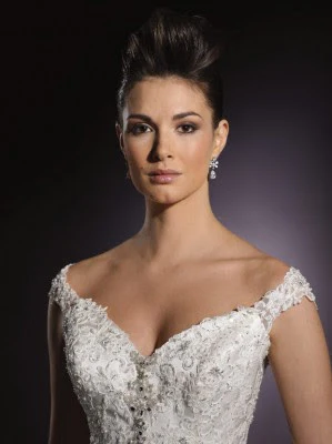 James Clifford Size 8 Pure Silk Wedding Dress Lace Embellished Fit Flare sheer sleeve - Image 3