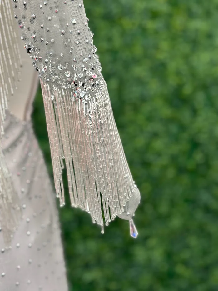 Johnathan Kayne 2795 Size 4 Crystal Sheer Beaded Fringe Long Sleeve Cocktail Dress - Image 6