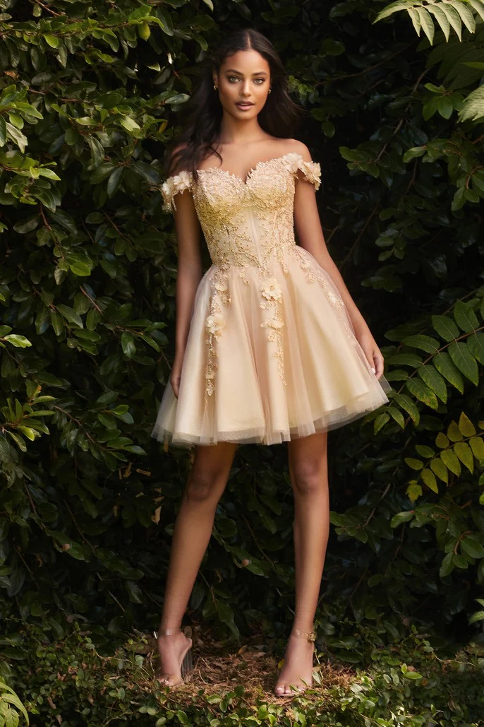 Ladivine CD0194 Short A Line Lace Corset off the Shoulder Cocktail Dress Formal Homecoming Gown - Image 3