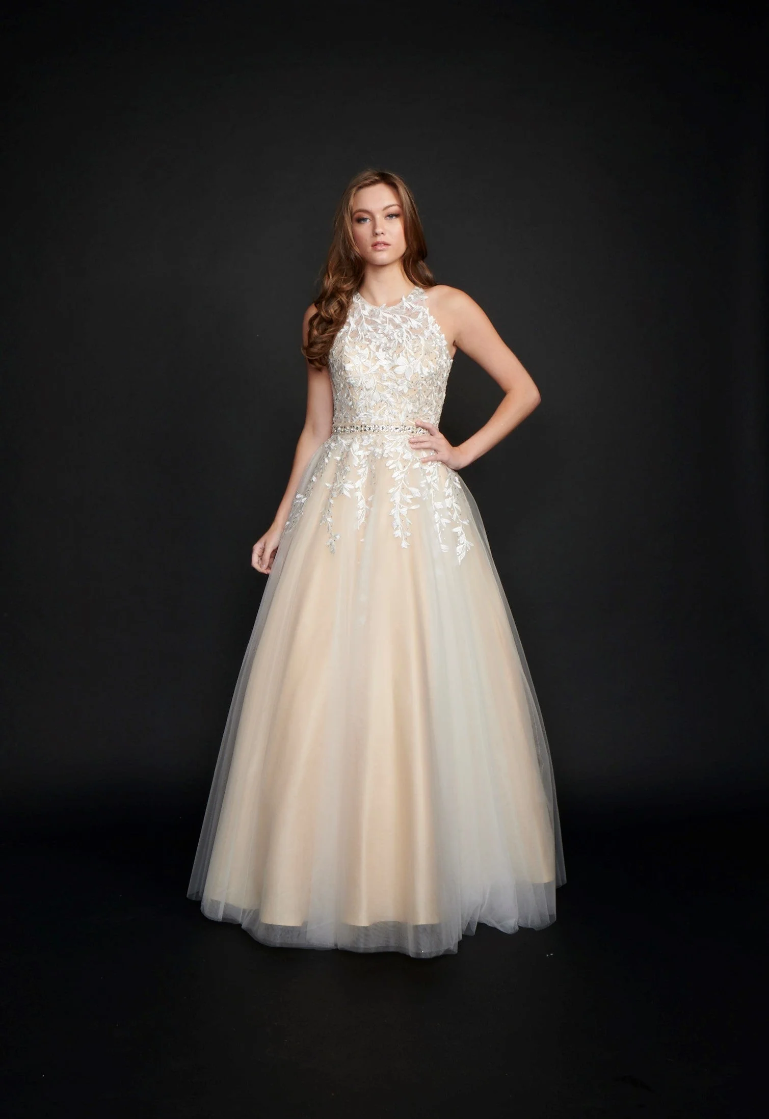 Nina Canacci 3188 Size 6 White Nude Long Lace A Line Ballgown Prom Dress Pageant Gown High Neck Formal - Image 4