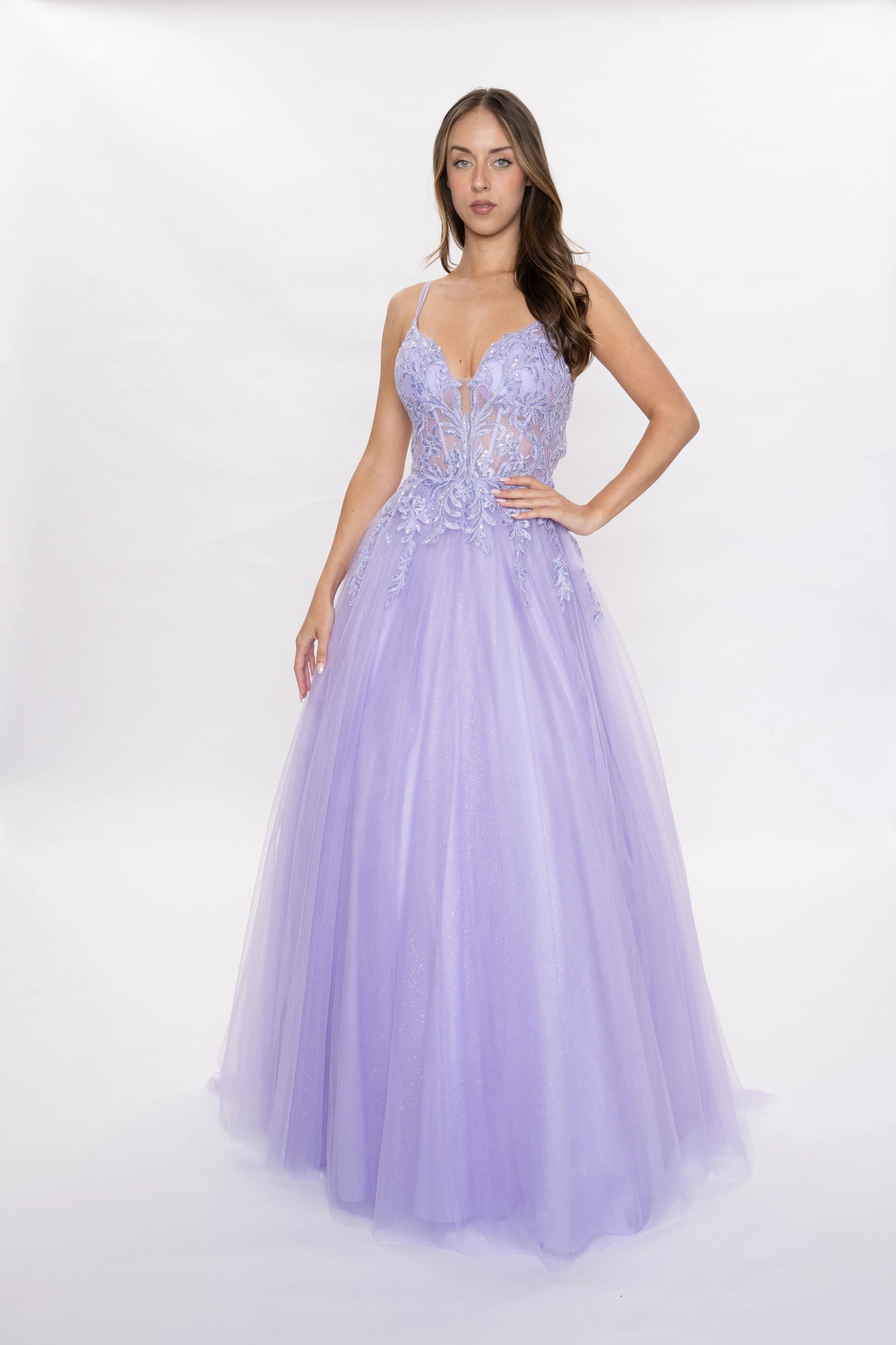 Nina Canacci 3276 Size 2, 10 Lilac Sheer Lace Corset Prom Dress A Line Tulle Backless Ballgown Formal Gown