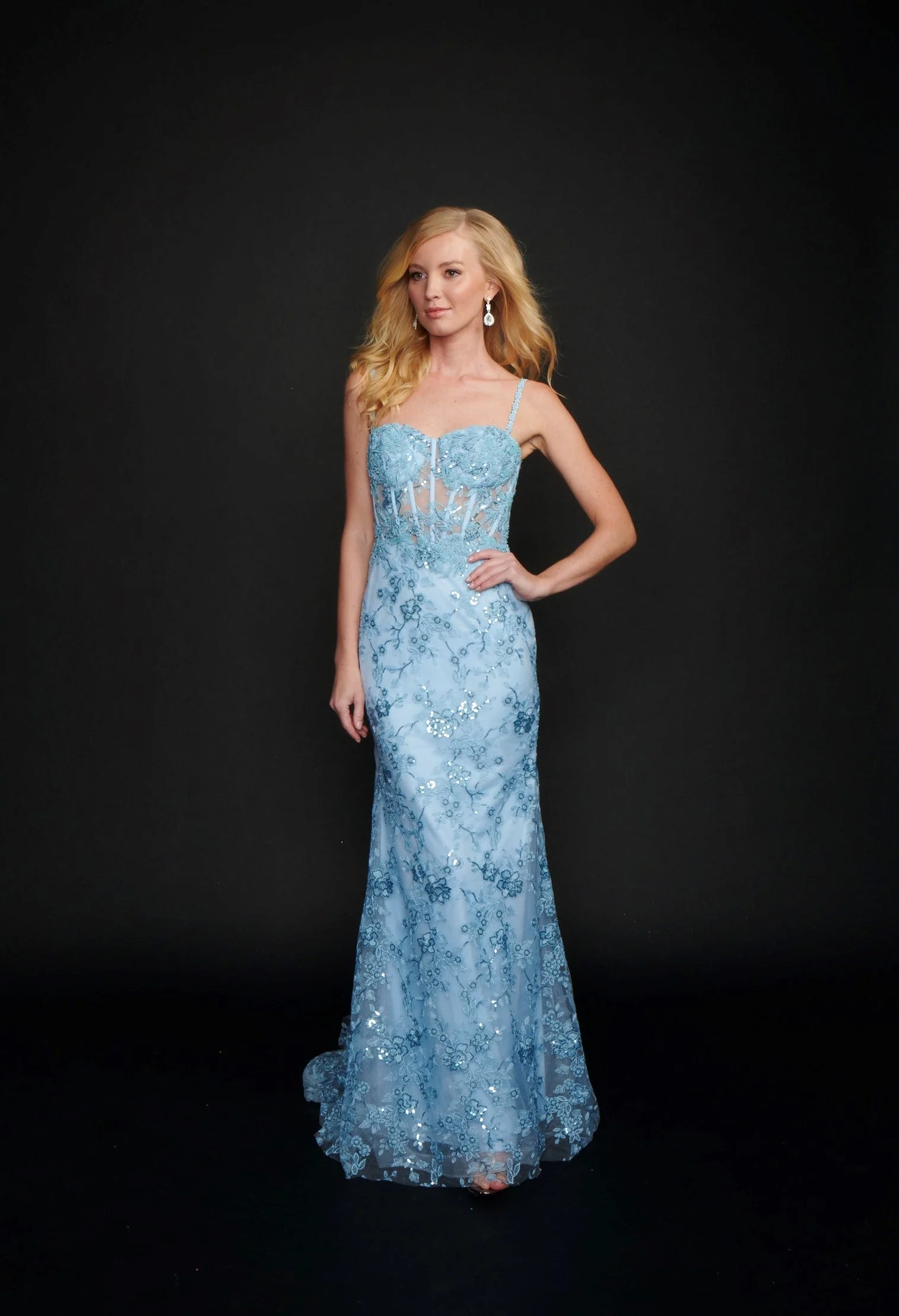 Nina Canacci 6556 Size 8 Long Mermaid Prom Pageant Gown Sheer Lace Corset Dress Train - Image 11