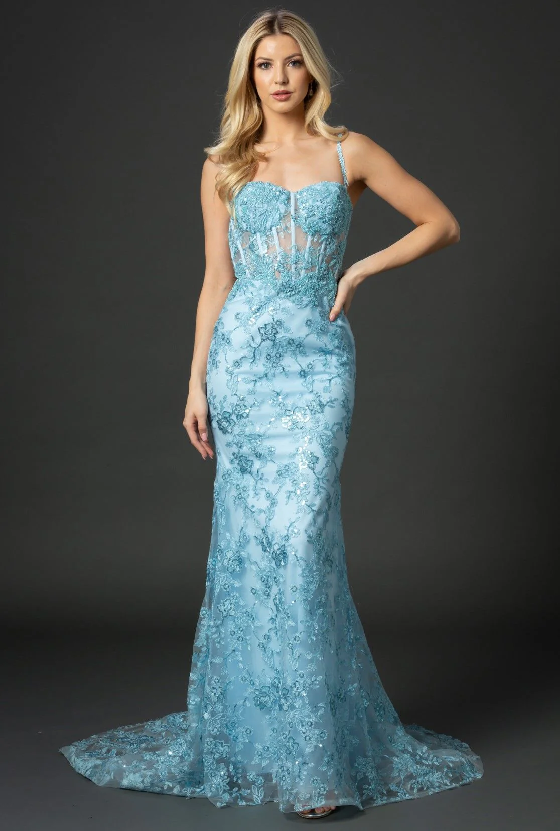 Nina Canacci 6556 Size 8 Long Mermaid Prom Pageant Gown Sheer Lace Corset Dress Train - Image 17