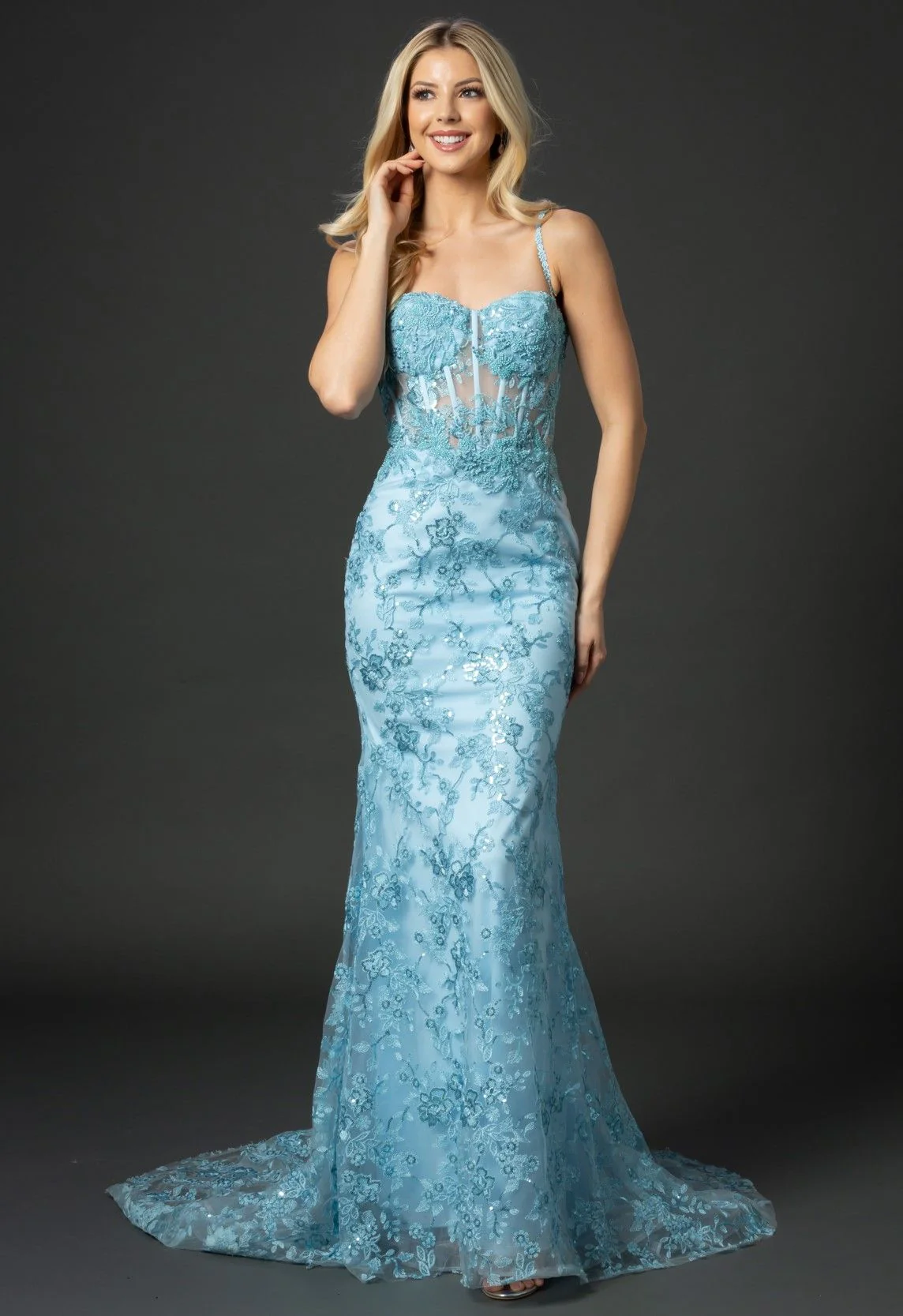 Nina Canacci 6556 Size 8 Long Mermaid Prom Pageant Gown Sheer Lace Corset Dress Train - Image 18