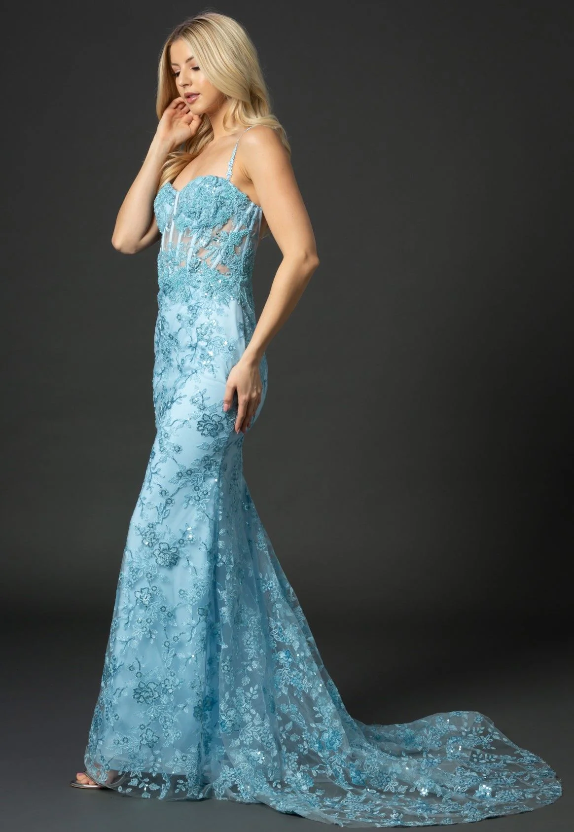 Nina Canacci 6556 Size 8 Long Mermaid Prom Pageant Gown Sheer Lace Corset Dress Train - Image 19