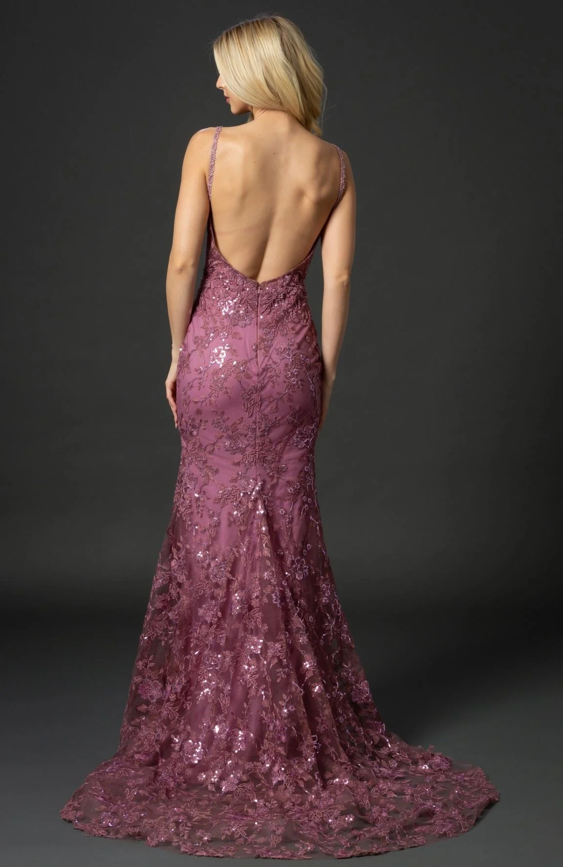 Nina Canacci 6556 Size 8 Long Mermaid Prom Pageant Gown Sheer Lace Corset Dress Train - Image 3