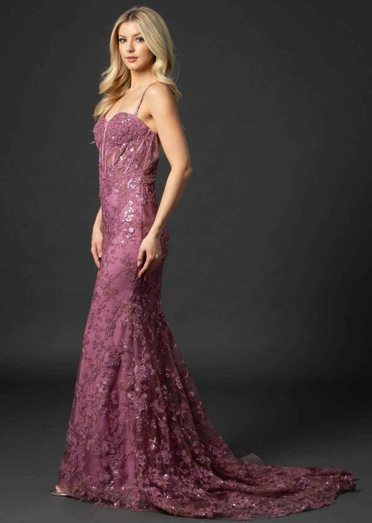 Nina Canacci 6556 Size 8 Long Mermaid Prom Pageant Gown Sheer Lace Corset Dress Train - Image 6
