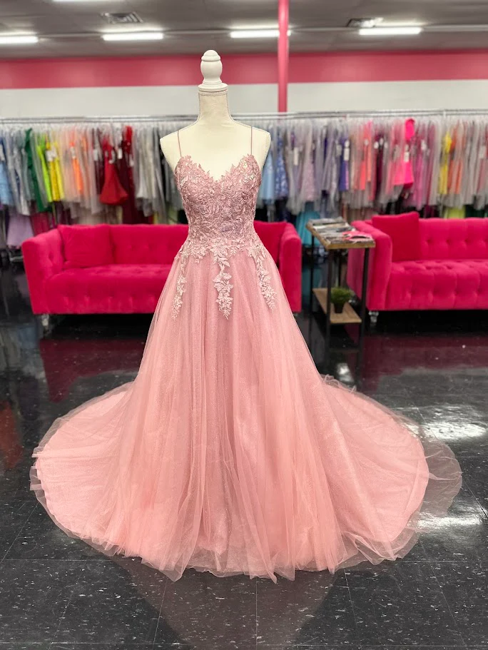 Nina Canacci 6624 Size 4 Mauve Long A Line Corset Prom Dress Backless Train Pageant Formal Gown (Copy)