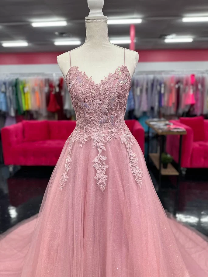 Nina Canacci 6624 Size 4 Mauve Long A Line Corset Prom Dress Backless Train Pageant Formal Gown (Copy) - Image 3