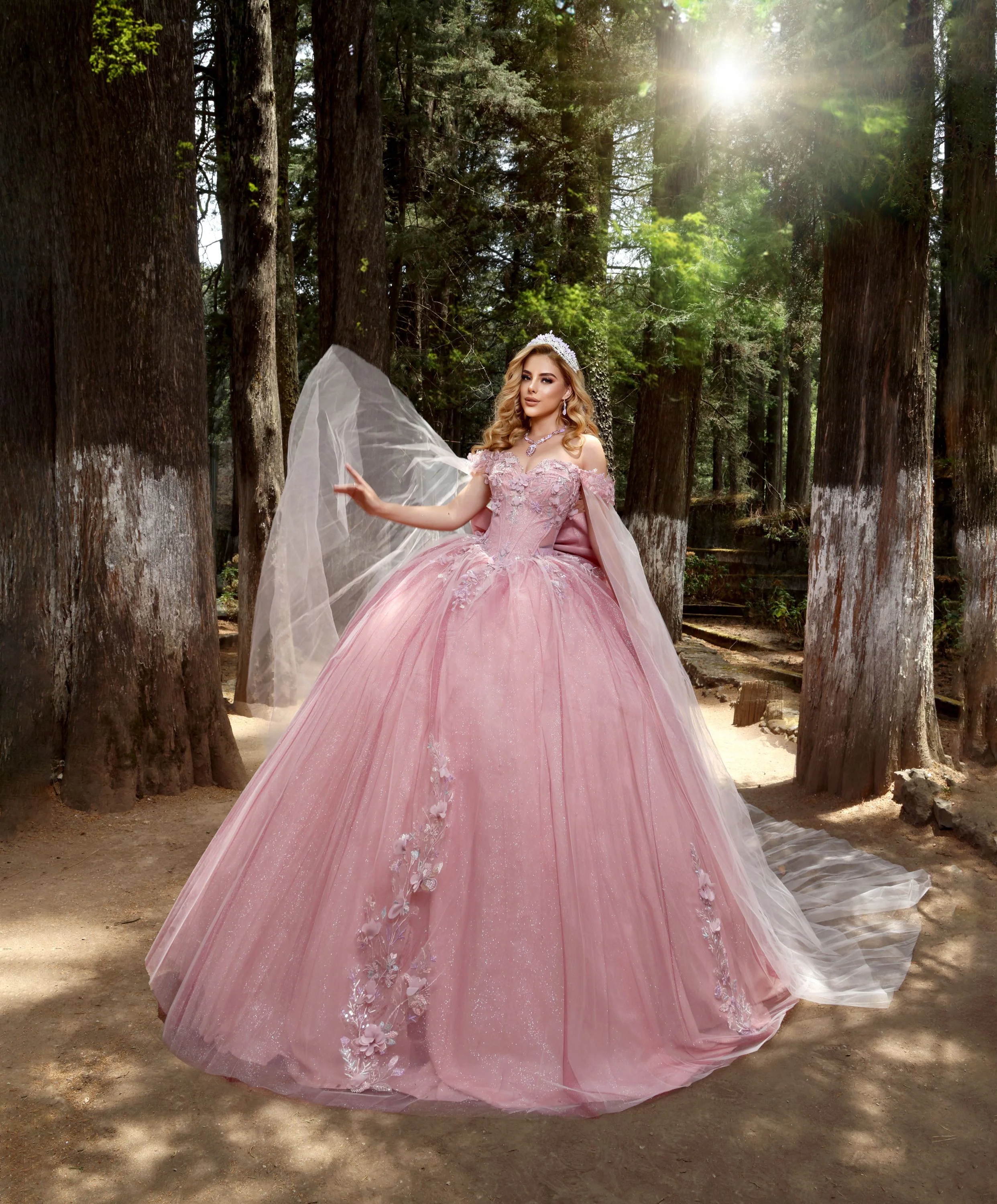 Nina Canacci Q117 Blush/Burgundy Quinceneara Dress Cape Sleeves Off the Shoulder 3D Flowers Glitter Tulle - Image 2