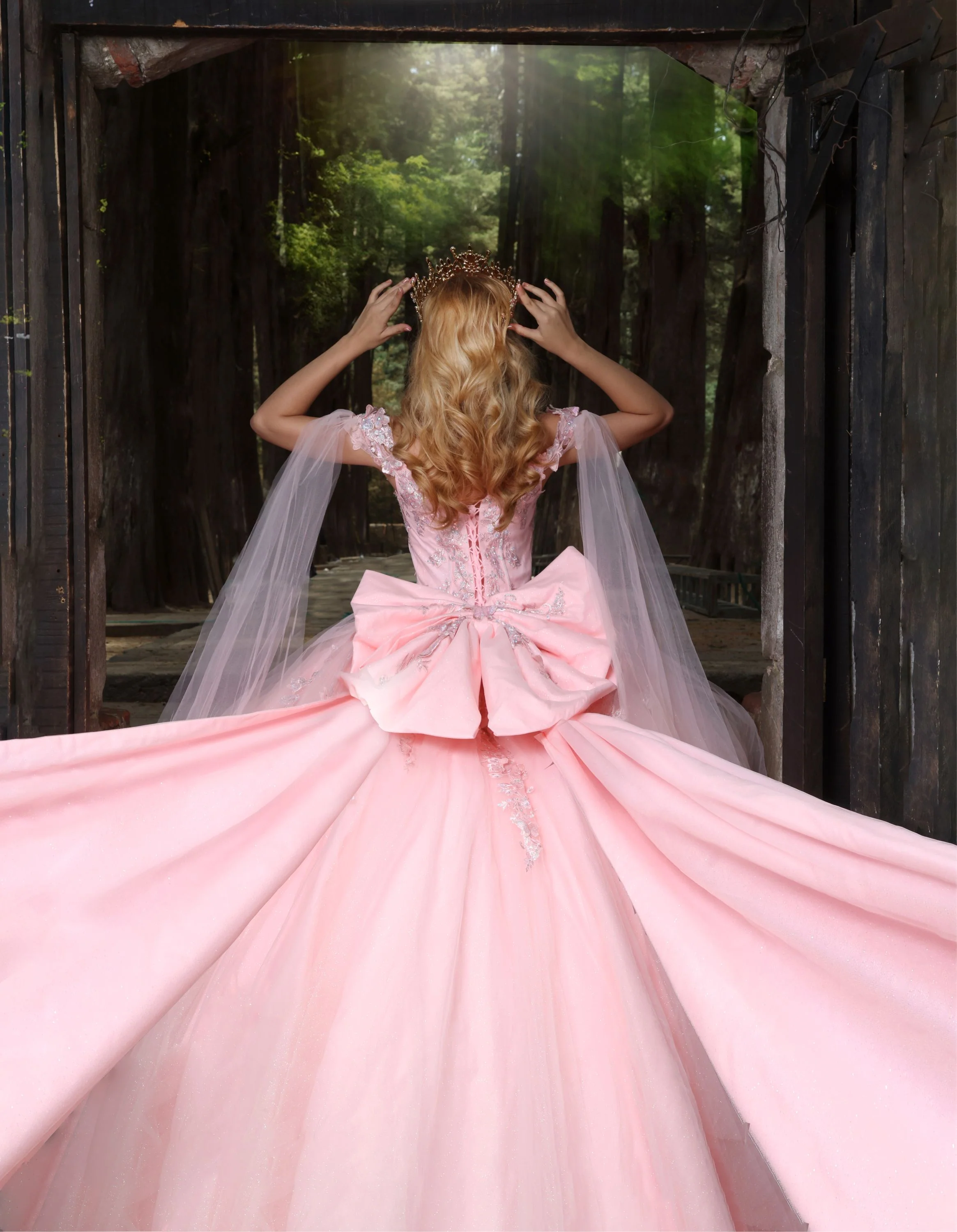 Nina Canacci Q122 Quinceanera Dress Bows and Butterflies Off the Shoulder Flowy Cape Arms Oversize Bow - Image 3